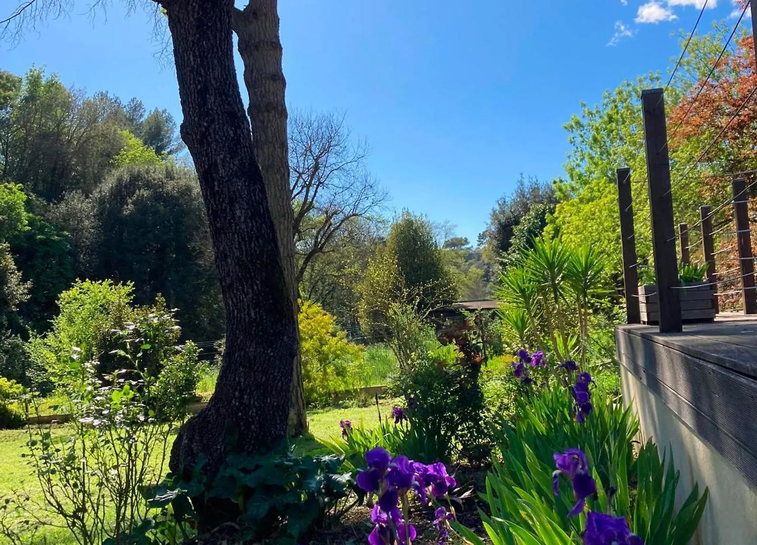 Villa Romarin Mougins France
